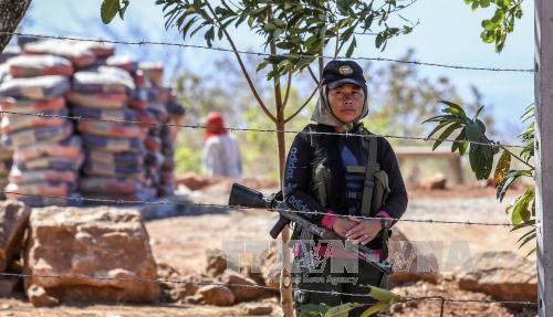 Kolumbien: Entwaffnung der Farc-Rebellen beginnt - ảnh 1